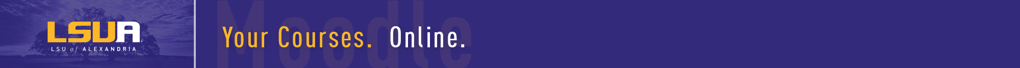 Louisiana State University Alexandria